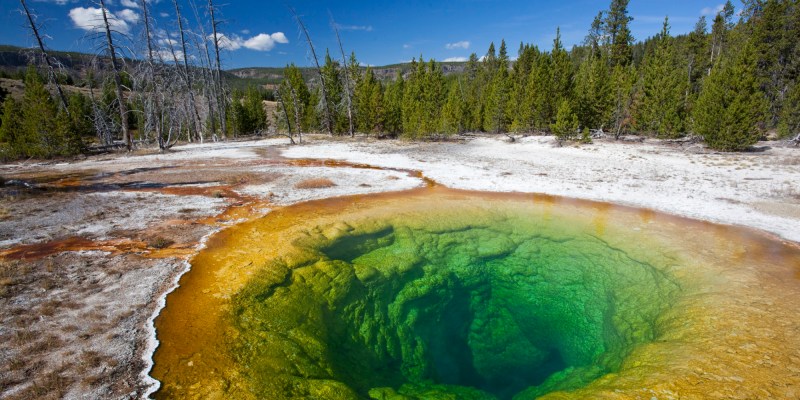 yellowstone